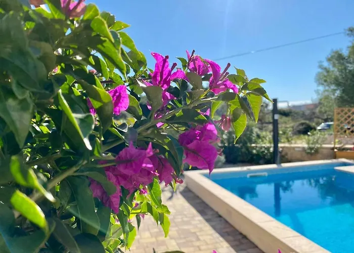 Βίλα Island With Pool Vir