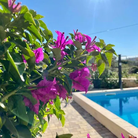 Villa Island With Pool Vir